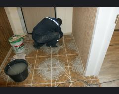 г. Мытищи июнь 2015 - сентябрь 2015 #15