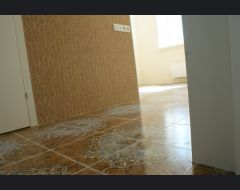 г. Мытищи июнь 2015 - сентябрь 2015 #3