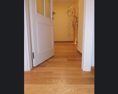 ЖК Алые Паруса, 2018 - 2019 год #12